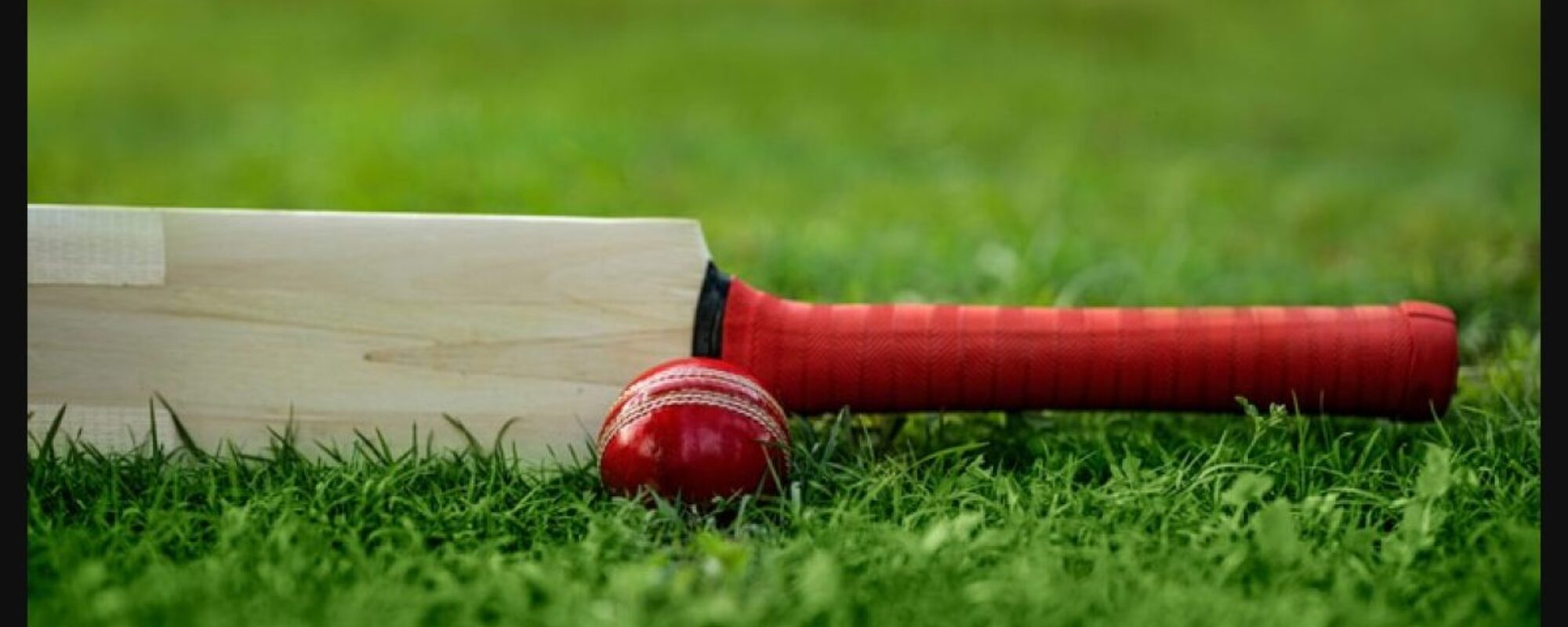 Cricket