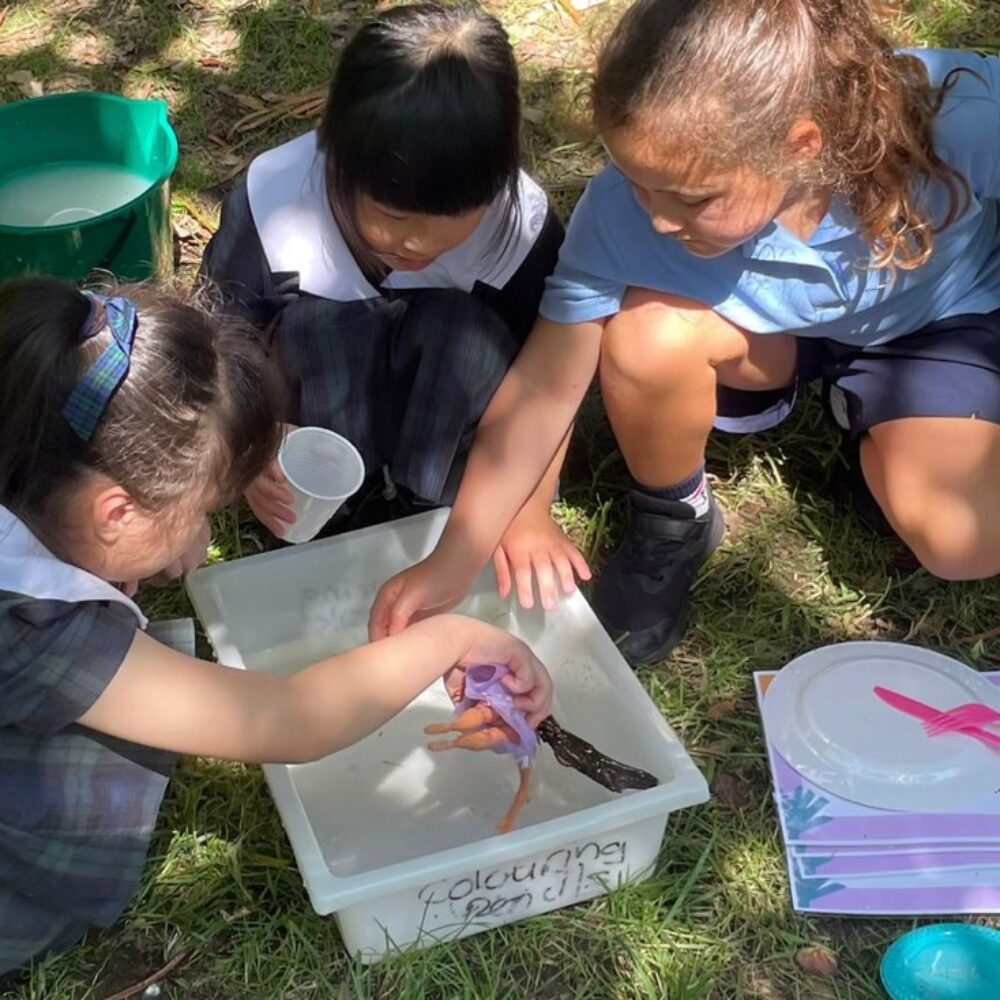 Building learning opportunities