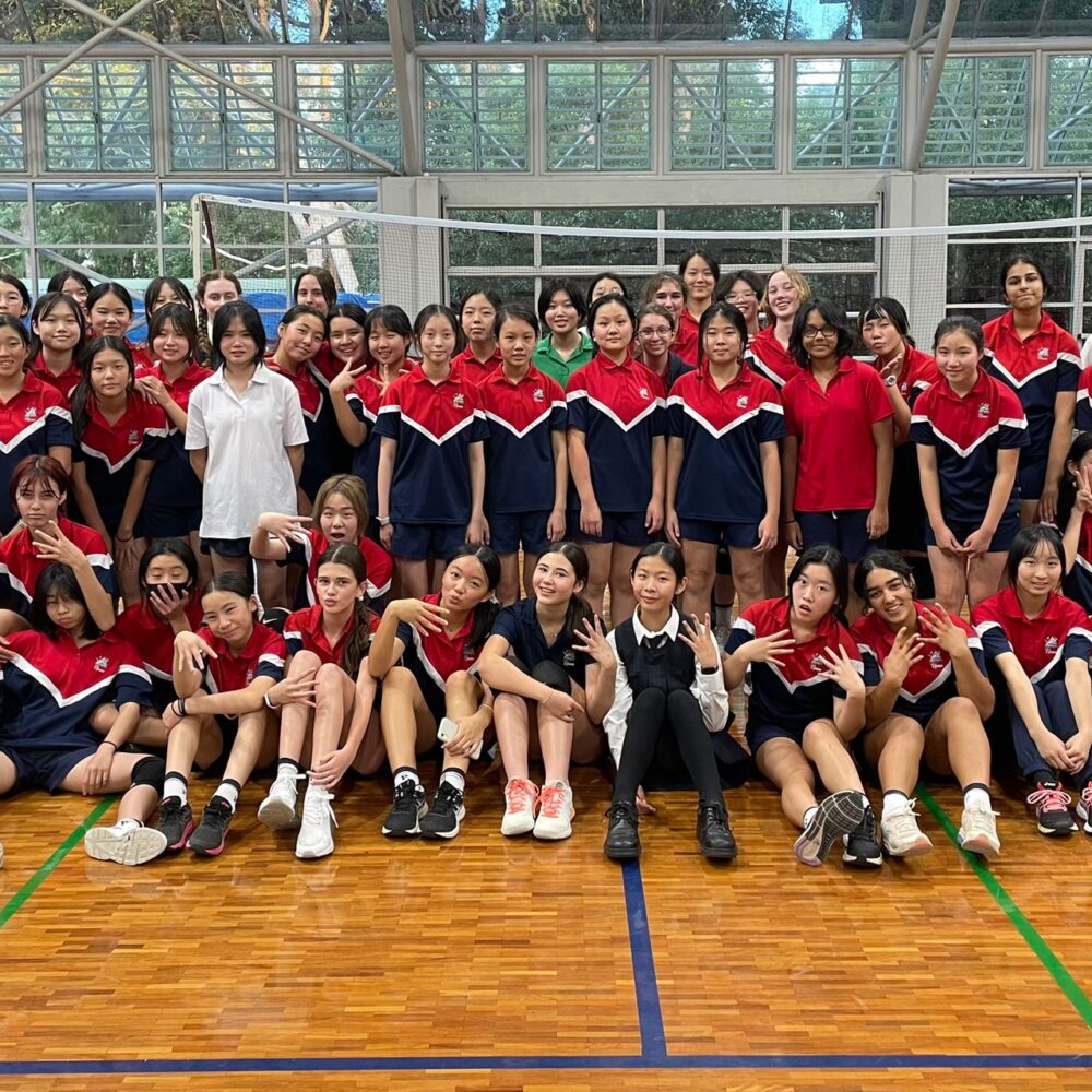 Volleyball