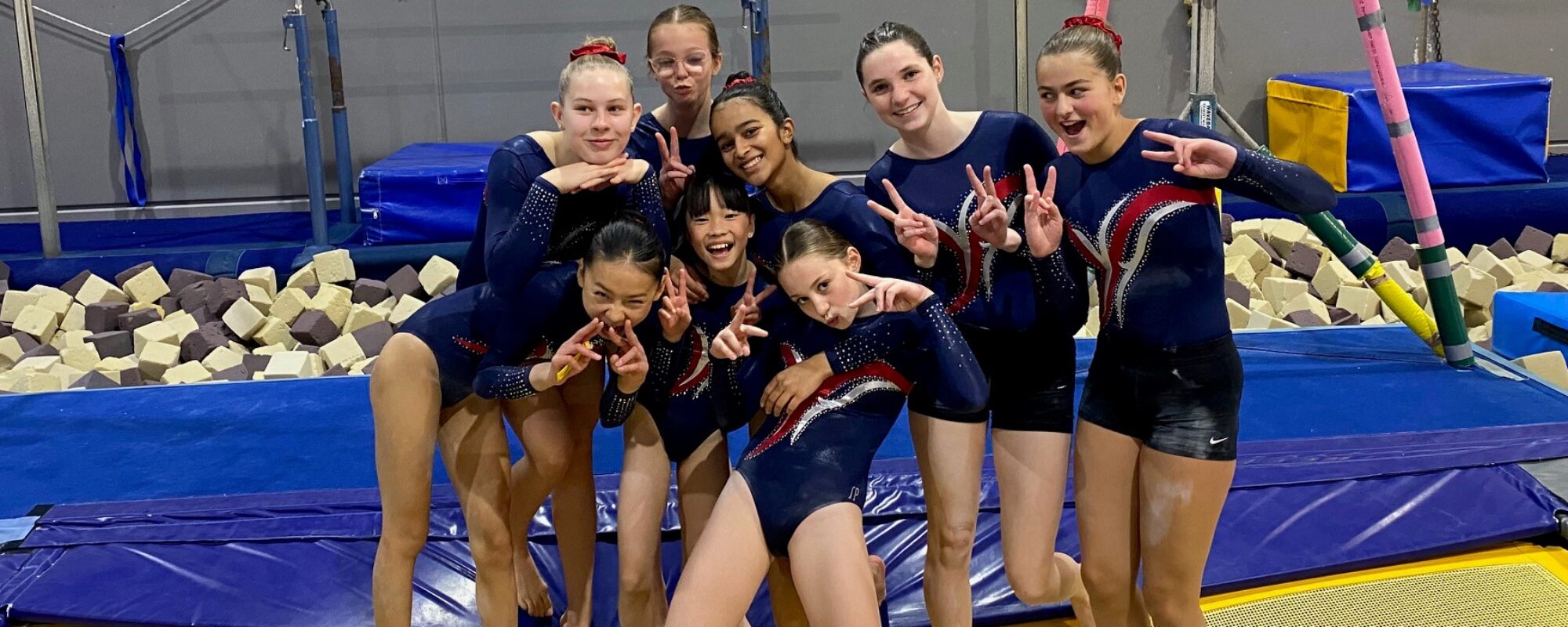 Artistic Gymnastics