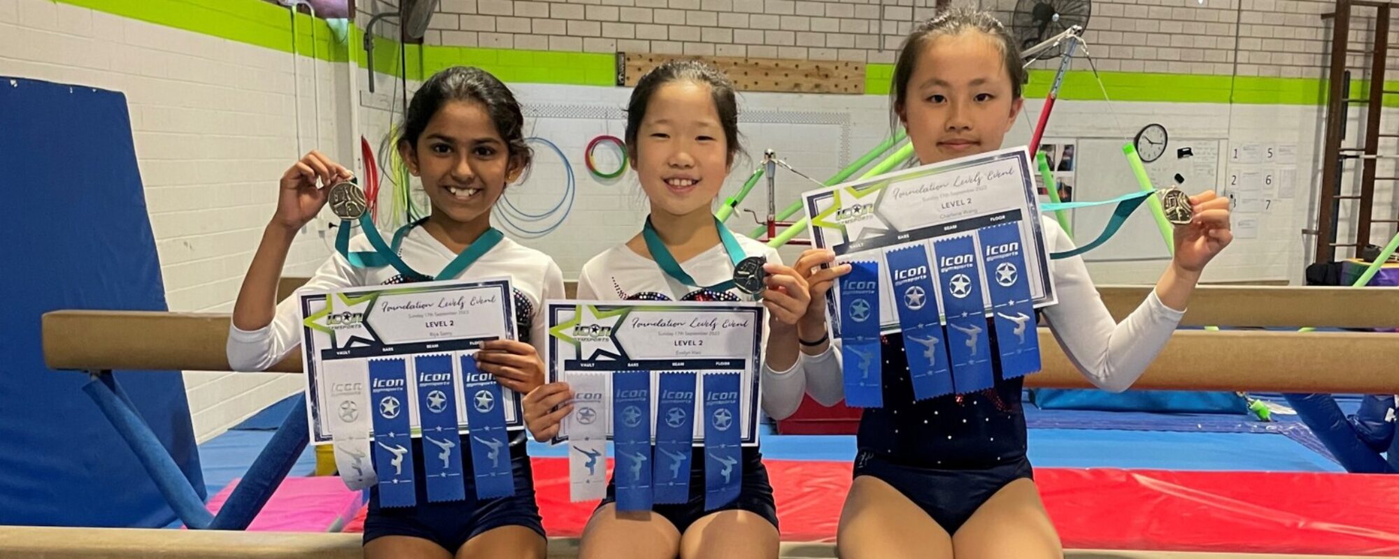 Artistic Gymnastics