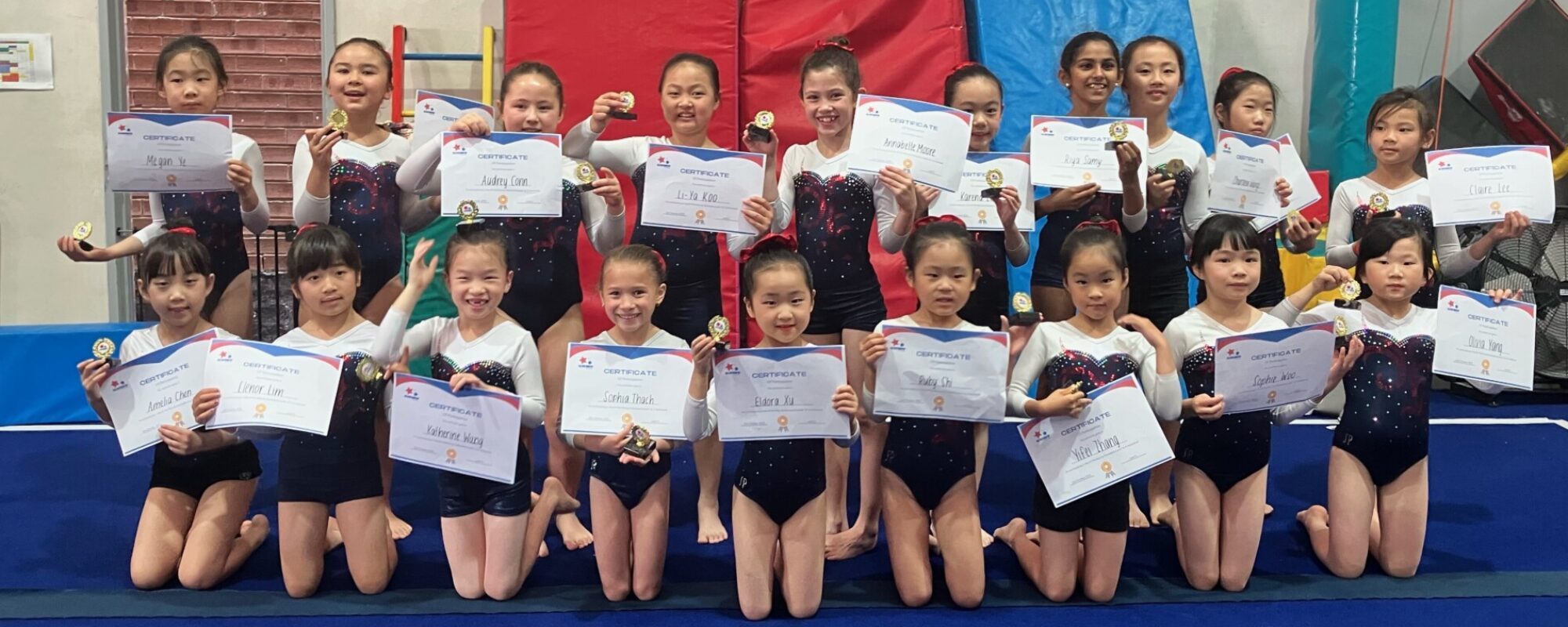 Artistic Gymnastics