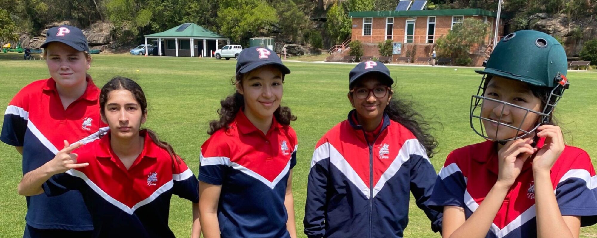 Cricket