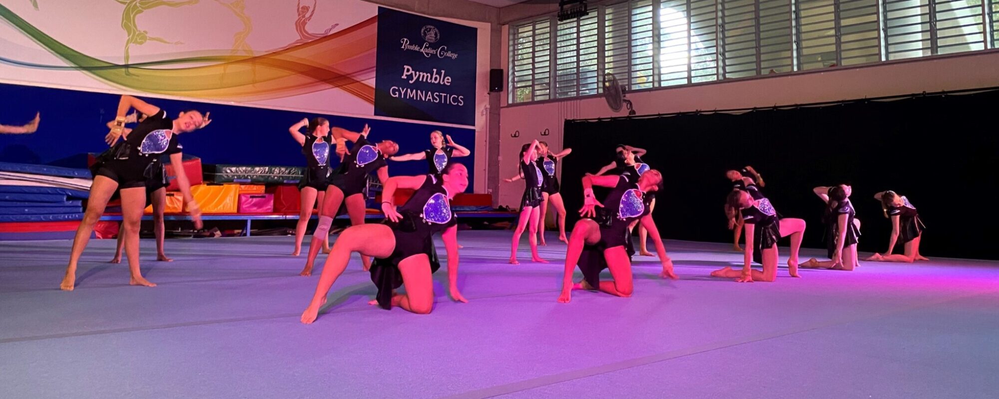 Artistic Gymnastics