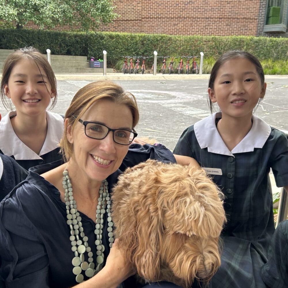 From the Junior School