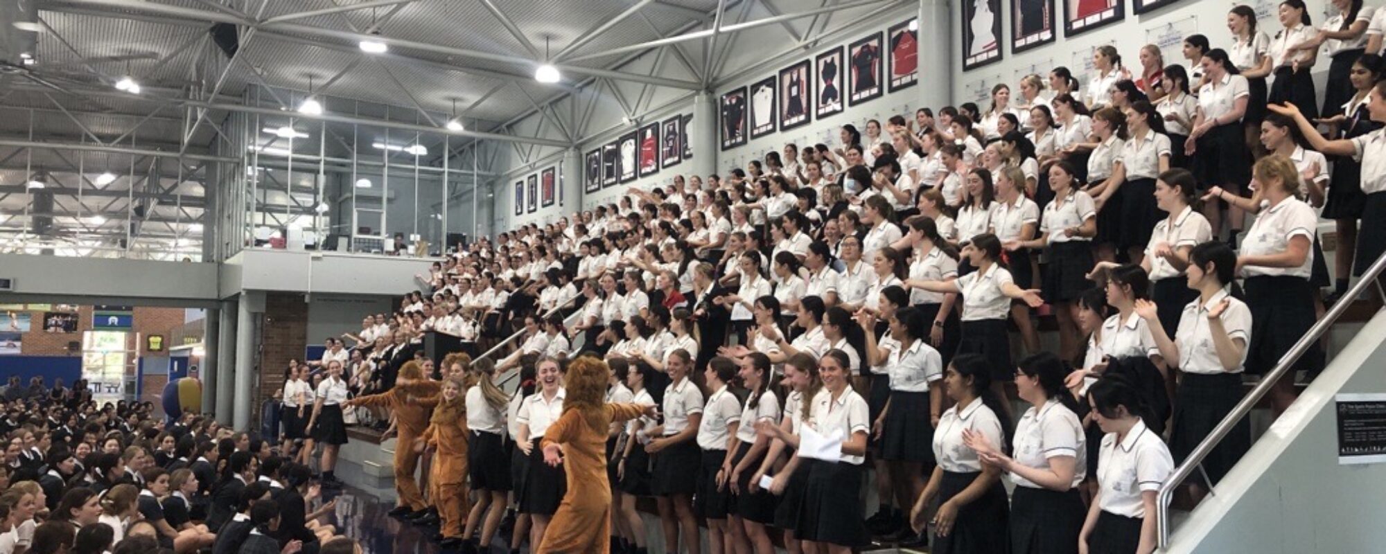 From the Principal