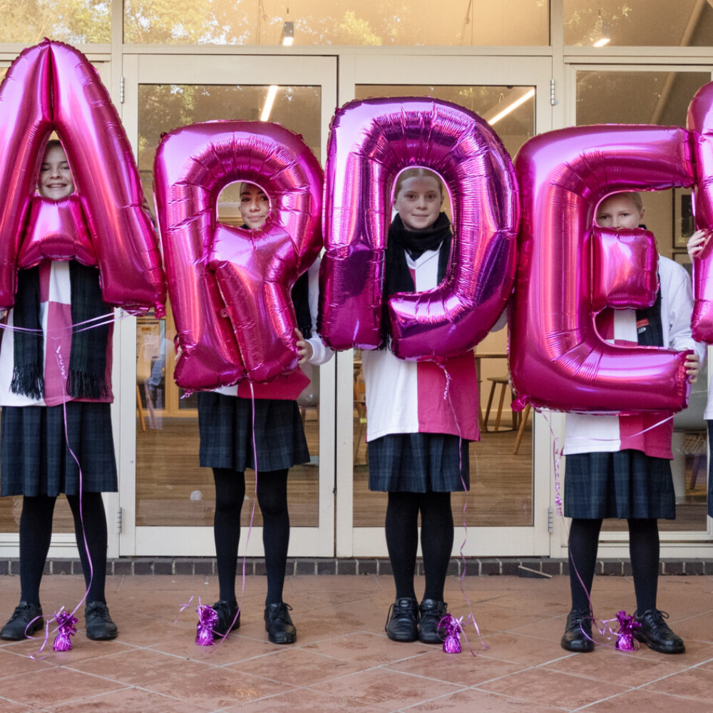 Celebrating our Boarders &#8211; and Olympic pathways!