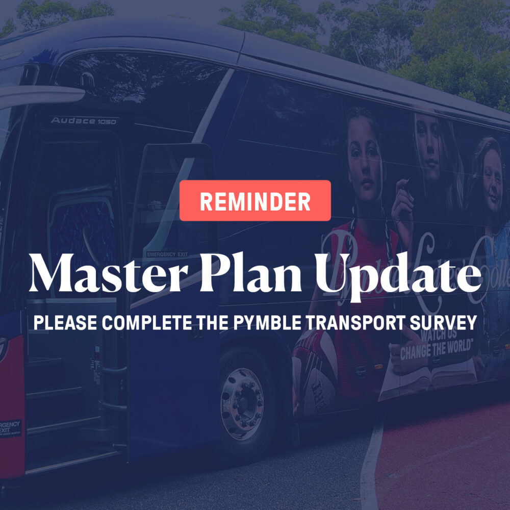 Transport survey for Grey House Precinct