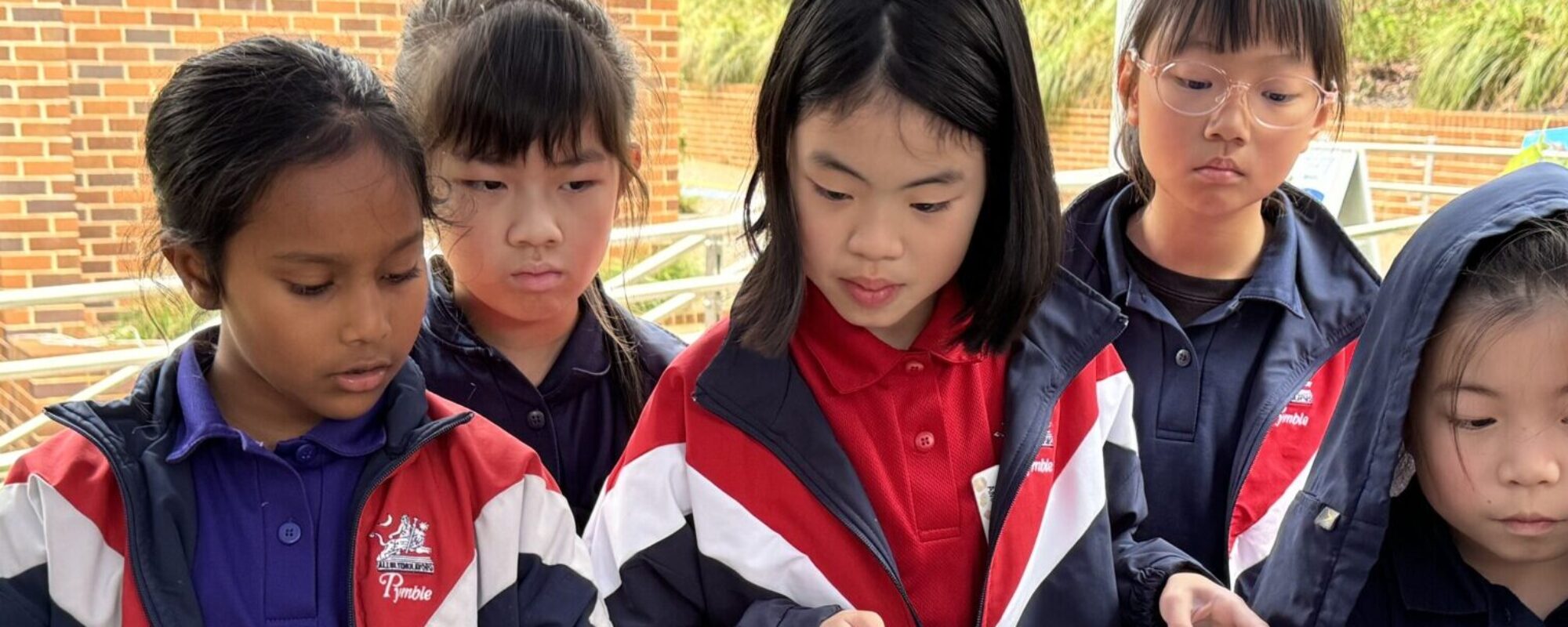From the Junior School
