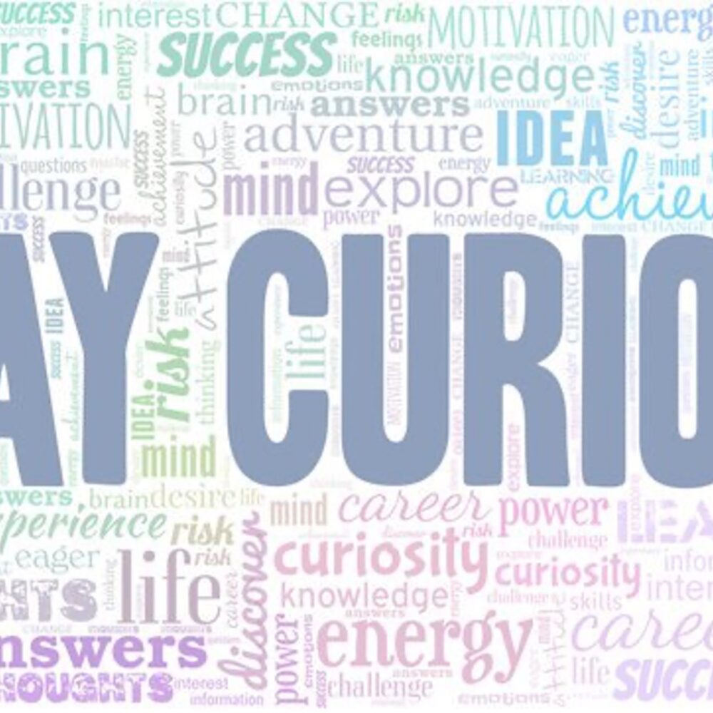 Stay curious