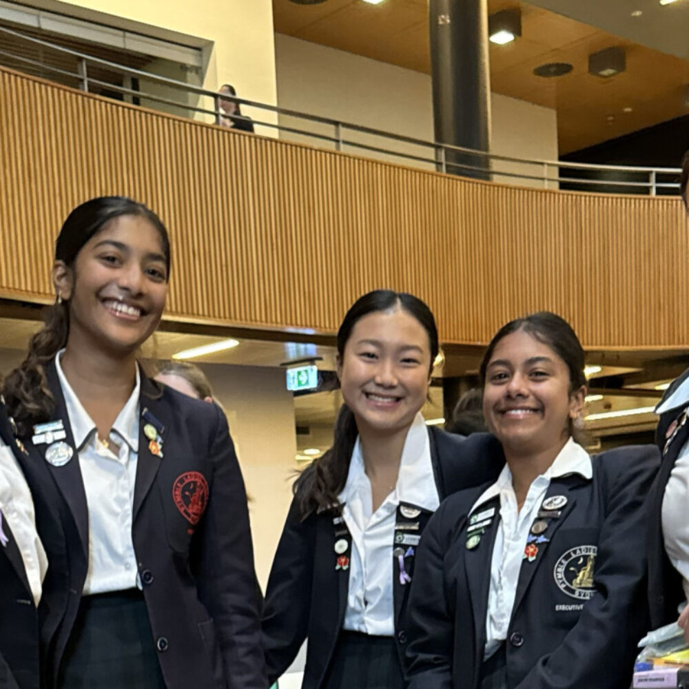 Welcome to Term 4