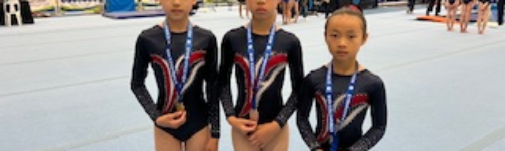 Artistic Gymnastics