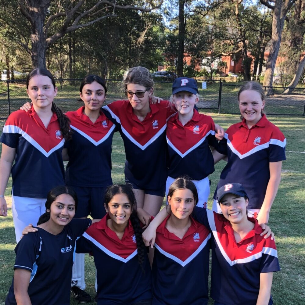 Cricket