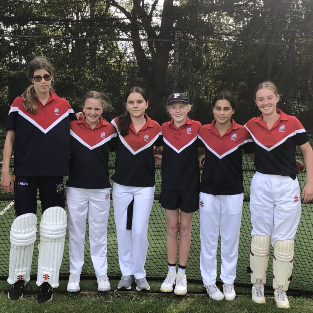 Cricket