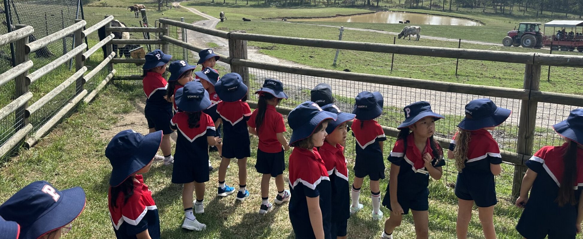 From the Junior School