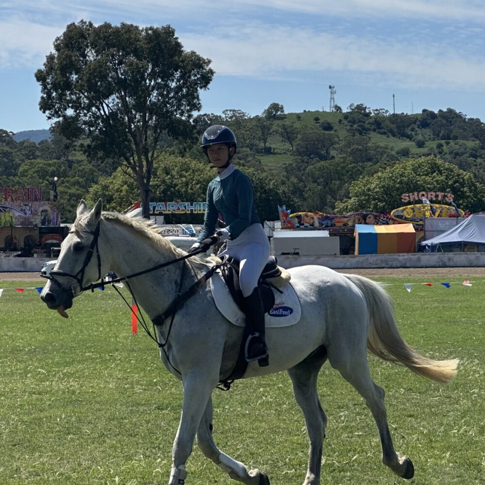 Equestrian