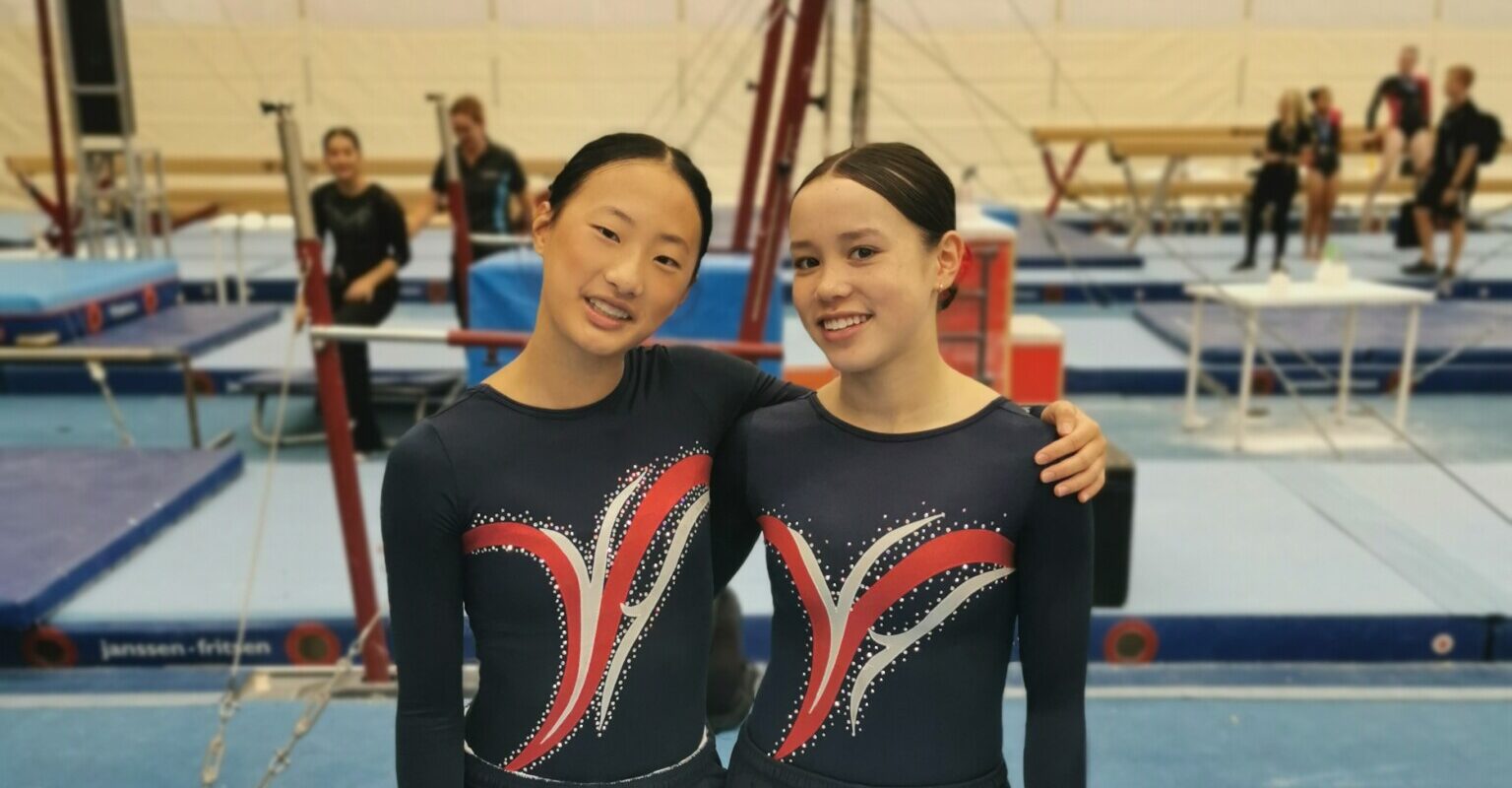Artistic Gymnastics