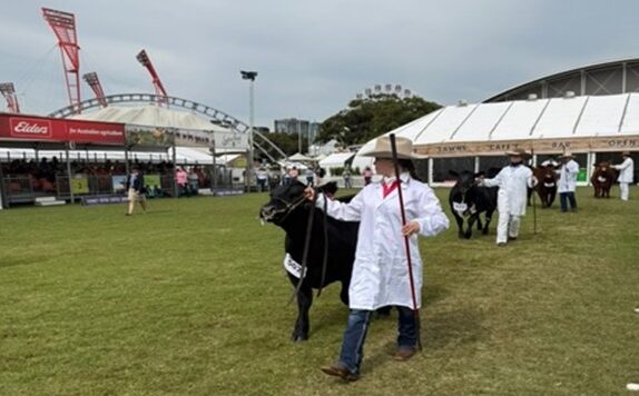 Cattle Club
