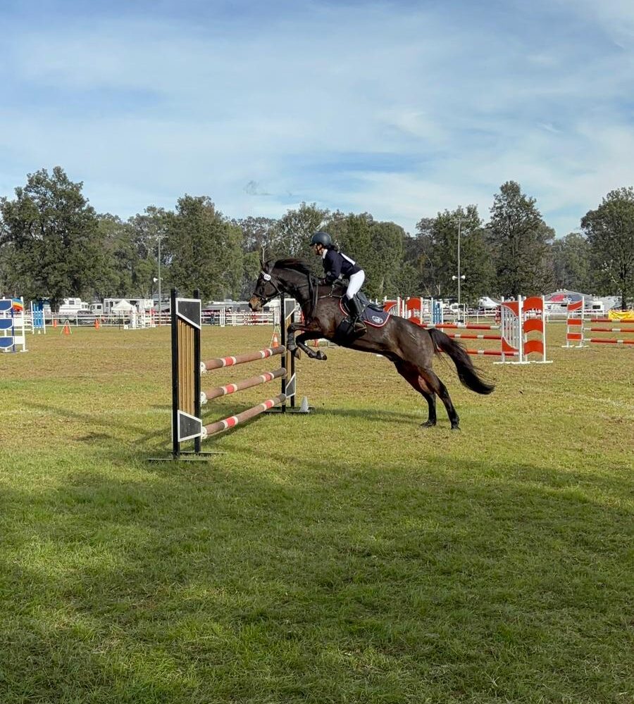 Equestrian