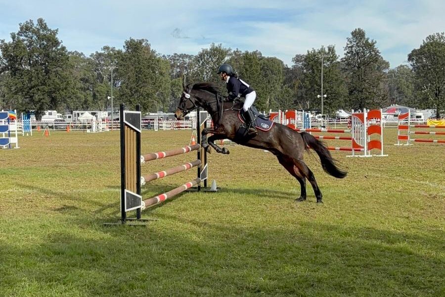 Equestrian