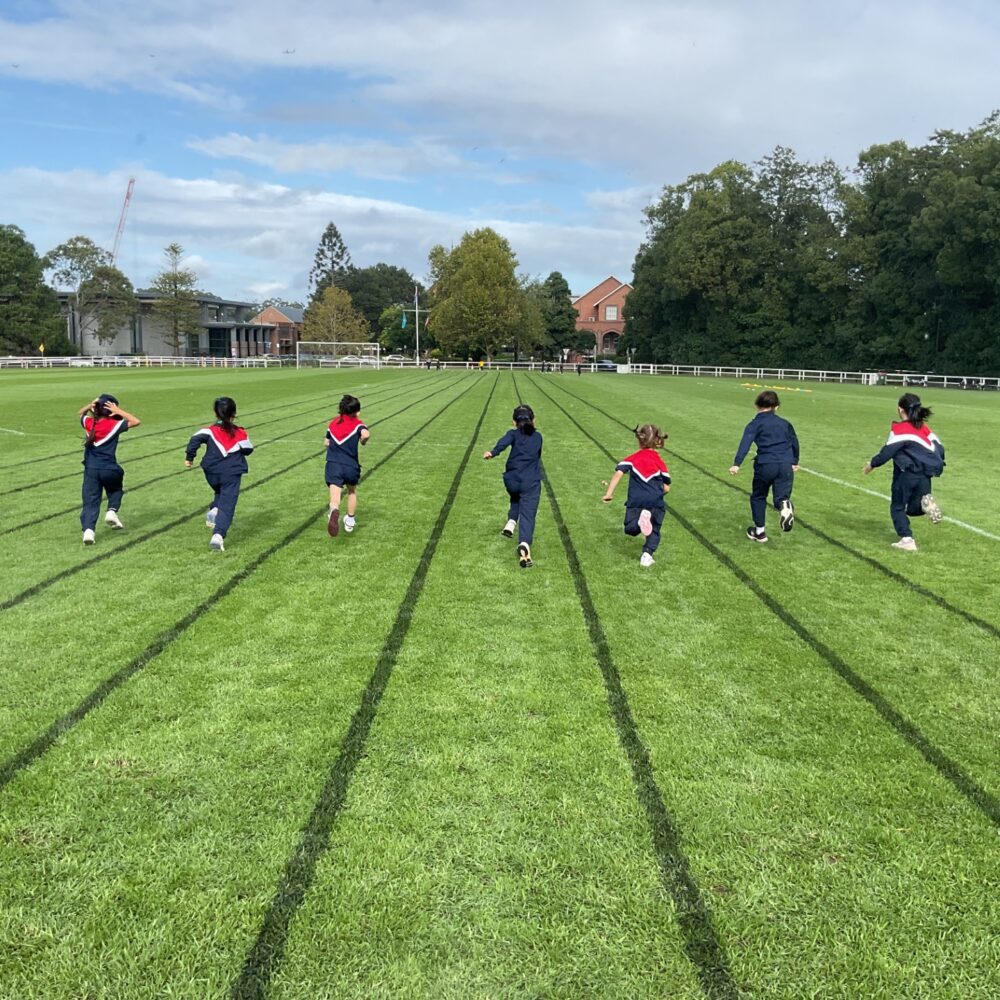 From the Junior School