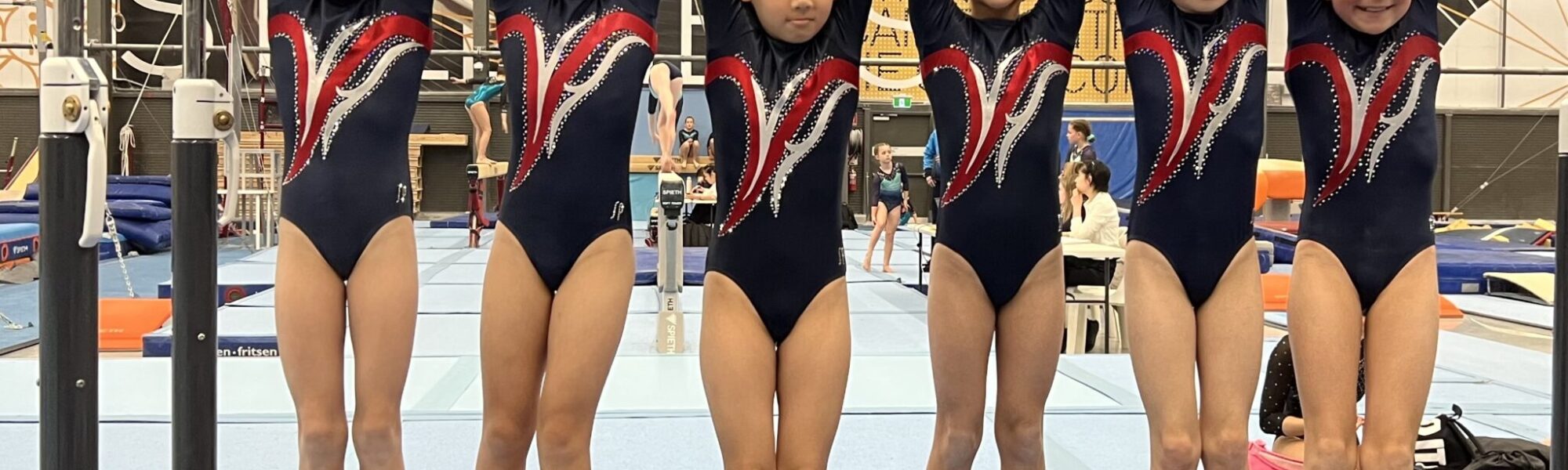 Artistic Gymnastics