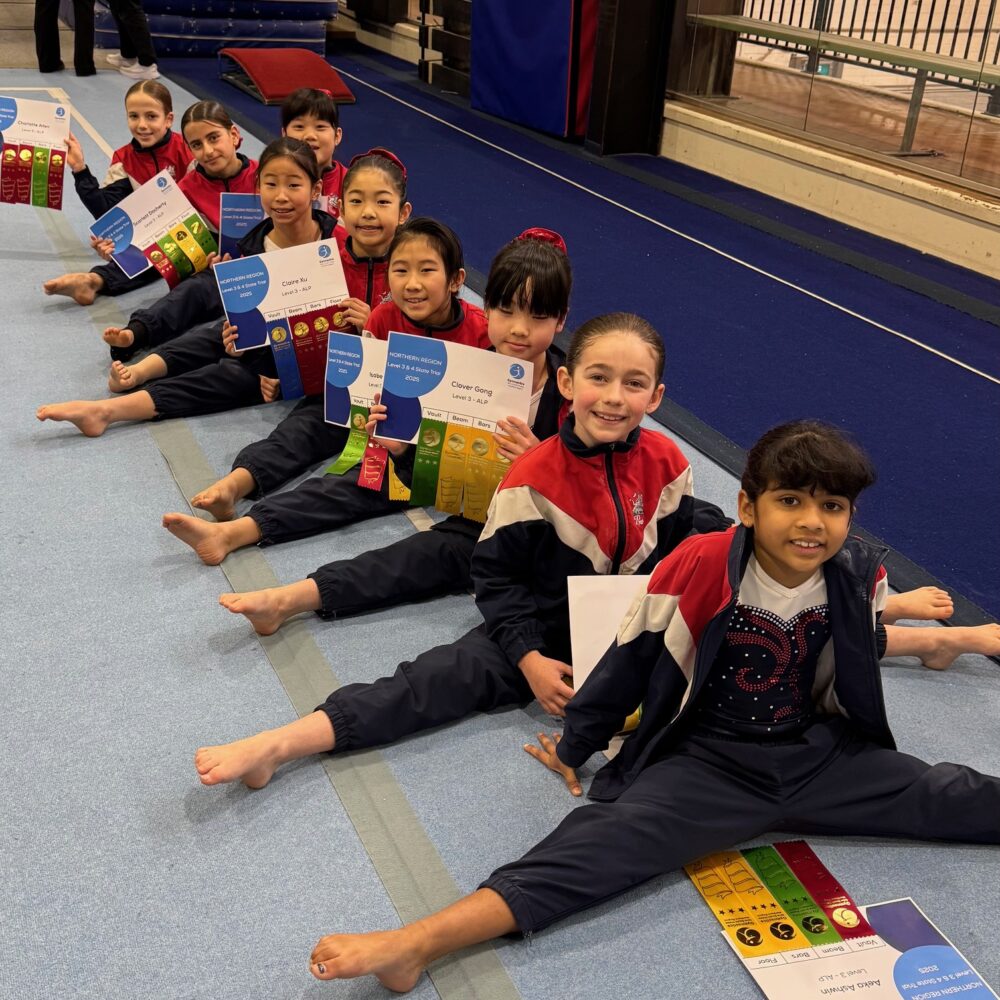 Artistic Gymnastics