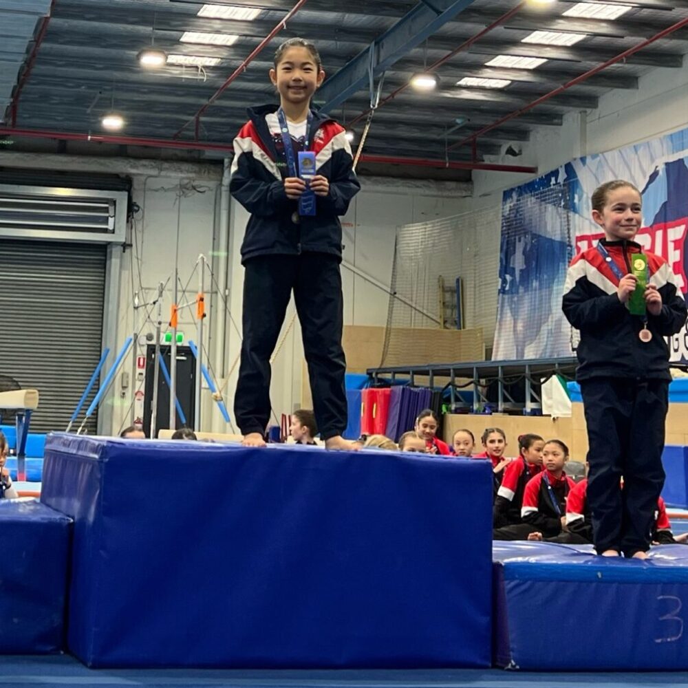 Artistic Gymnastics Update