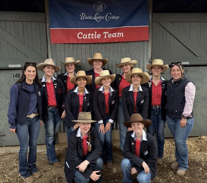 Cattle Team