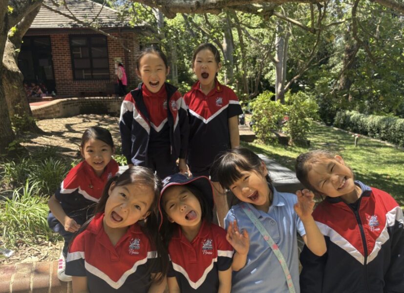 From the Junior School