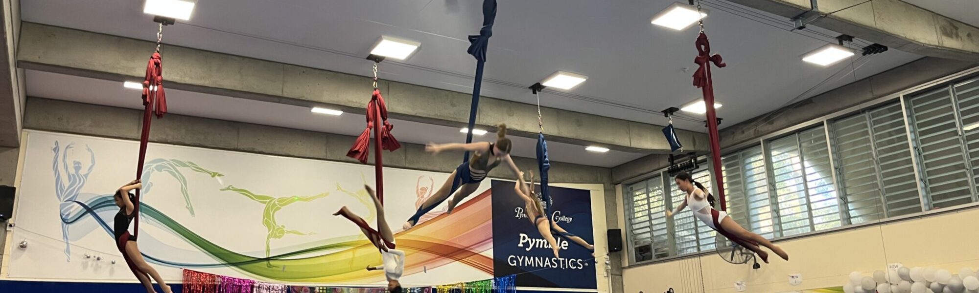 Artistic Gymnastics