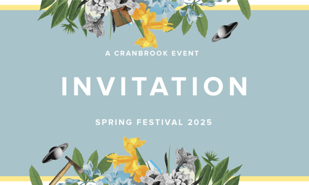 Spring Festival 2025