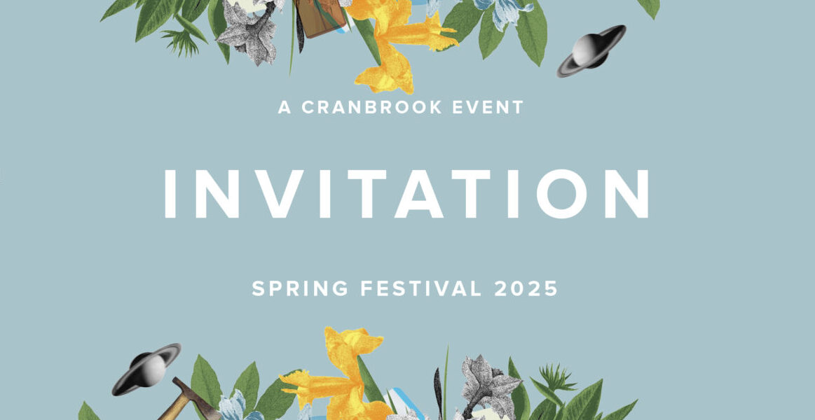 Spring Festival 2025