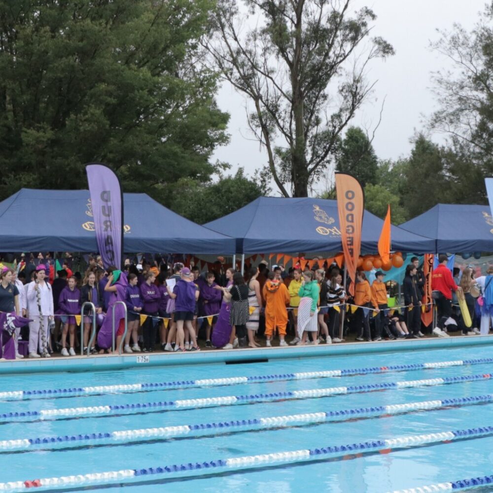 Swimming Carnival Results