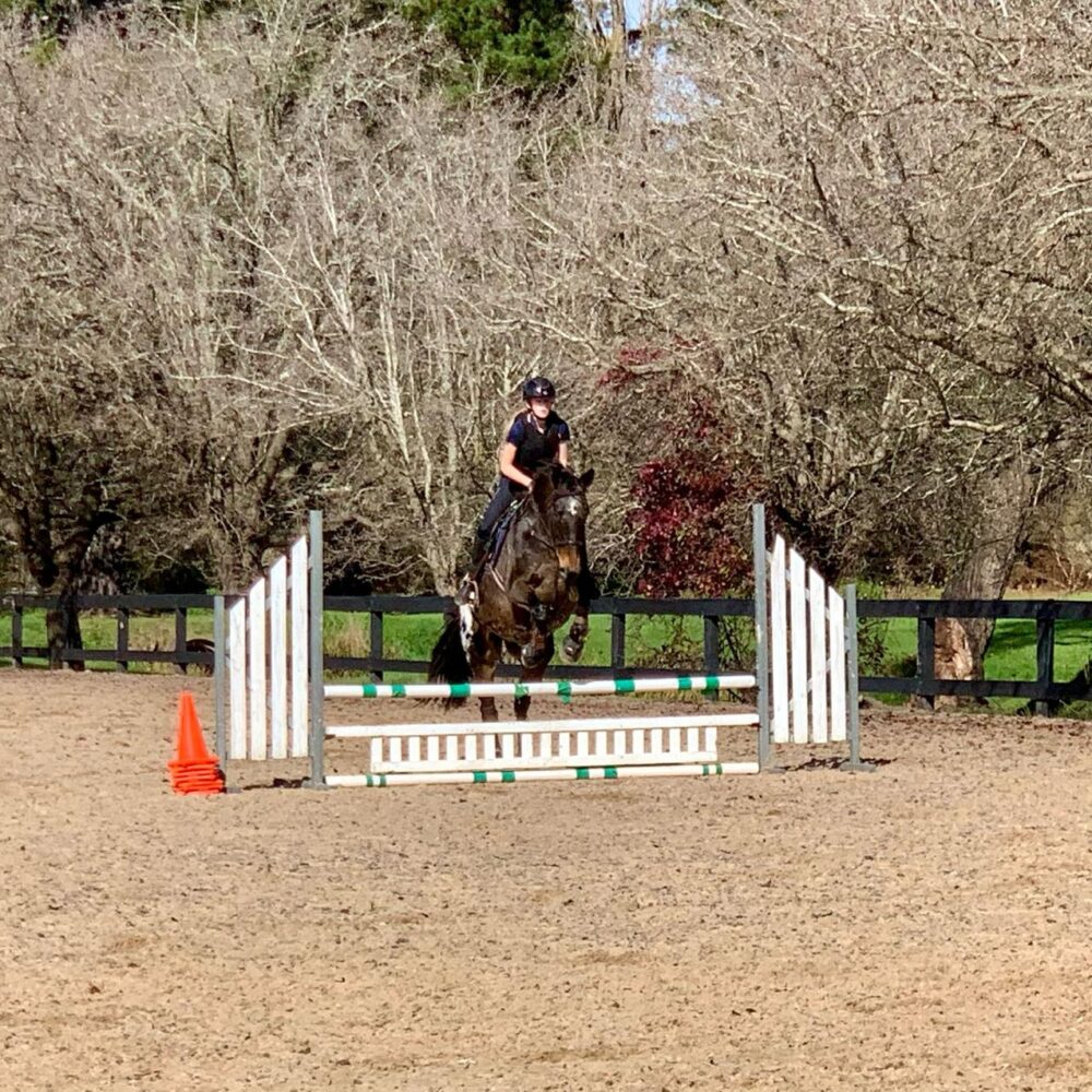 Sutton Farm Equestrian Training Day