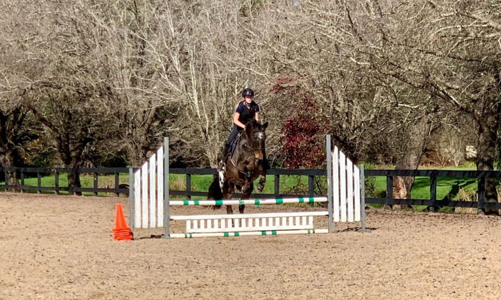 Sutton Farm Equestrian Training Day