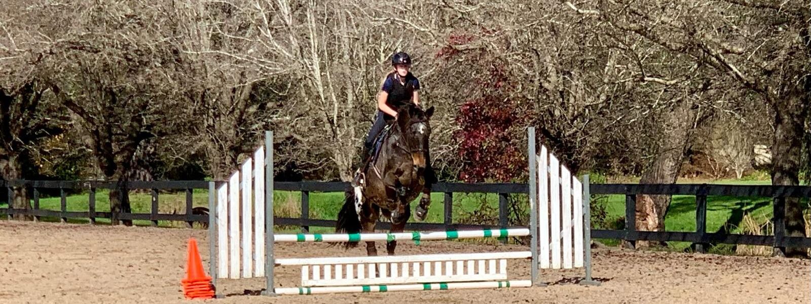 Sutton Farm Equestrian Training Day