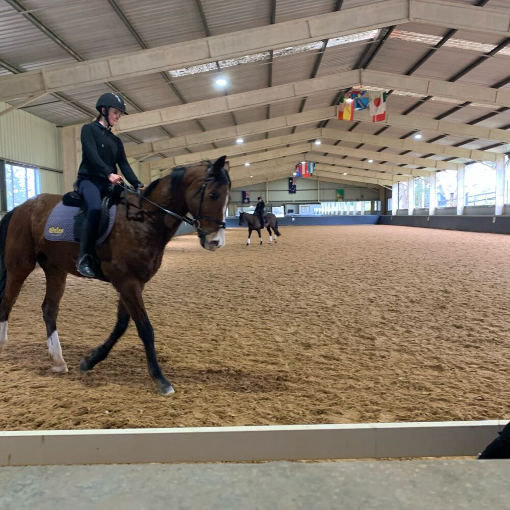 Equestrian Dressage Clinic at Parbery Performance Horses