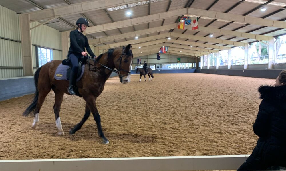 Equestrian Dressage Clinic at Parbery Performance Horses