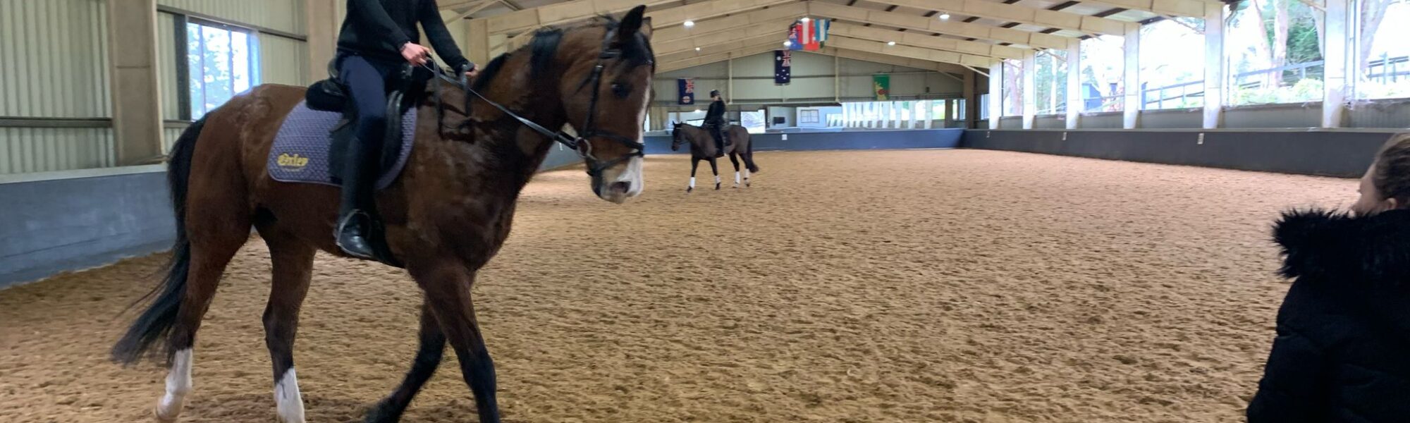 Equestrian Dressage Clinic at Parbery Performance Horses