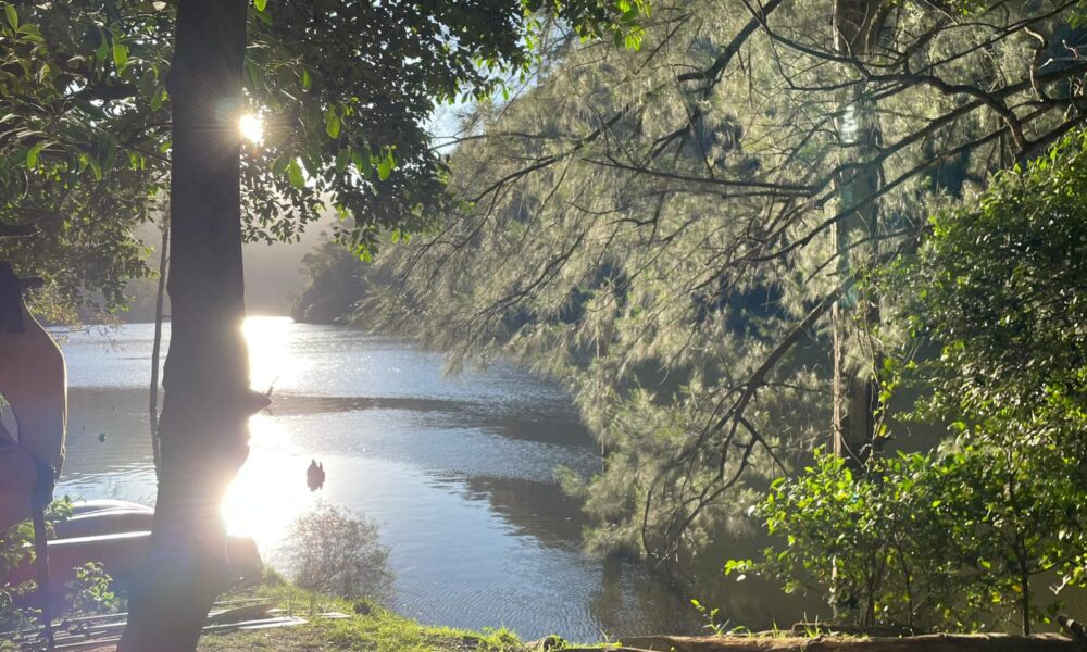 Senior School OLE! Week