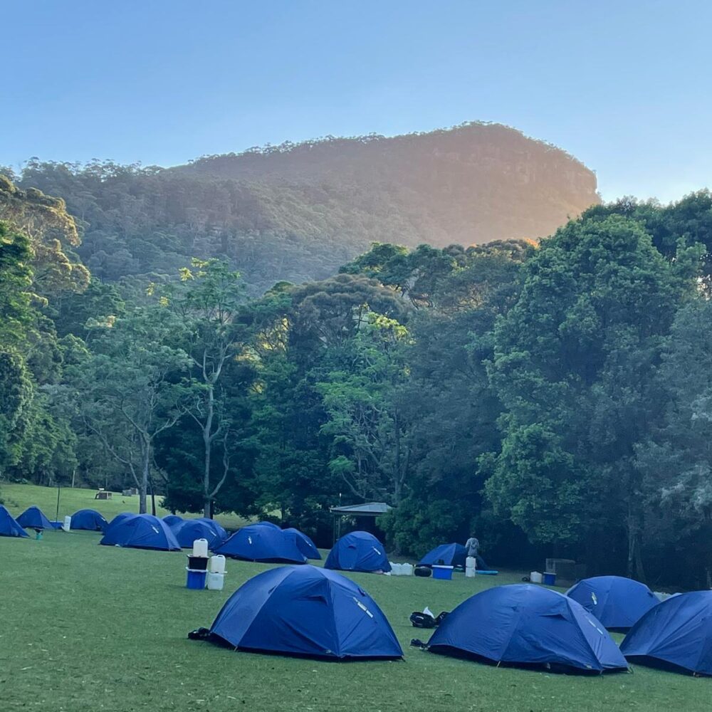 Junior School OLE! Week (3-6)