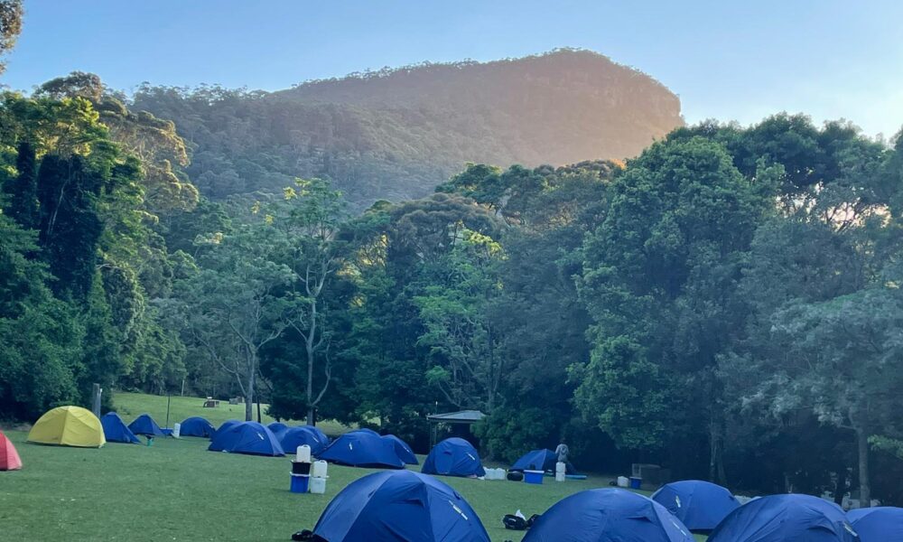 Junior School OLE! Week (3-6)