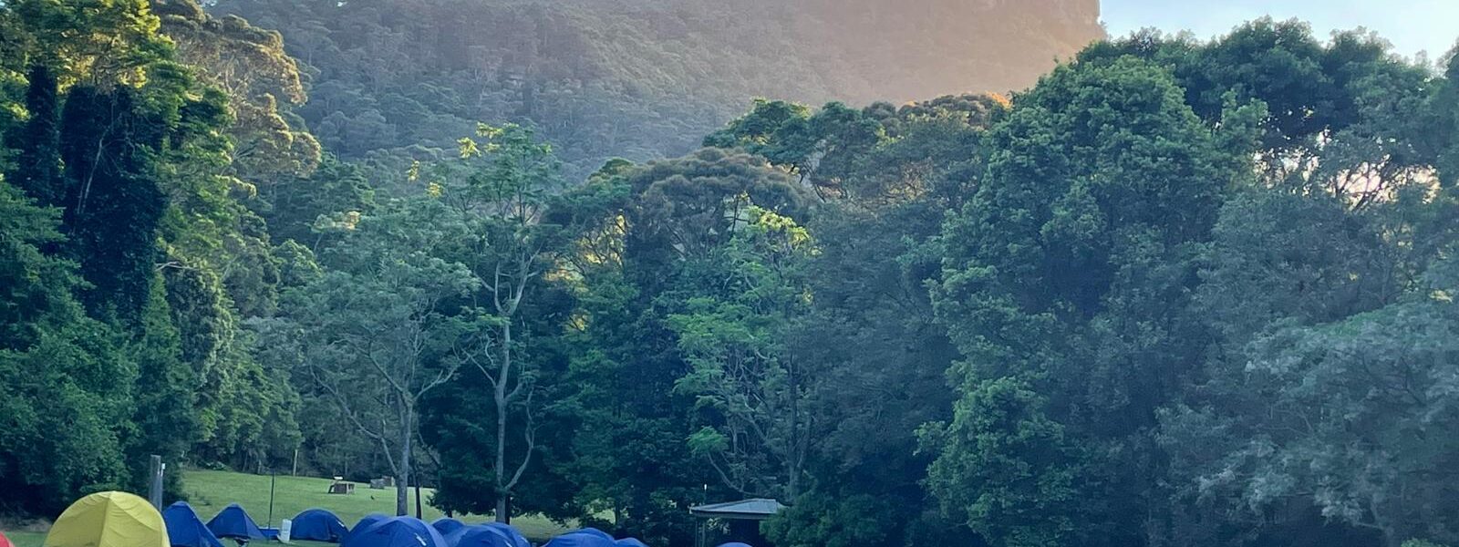 Junior School OLE! Week (3-6)