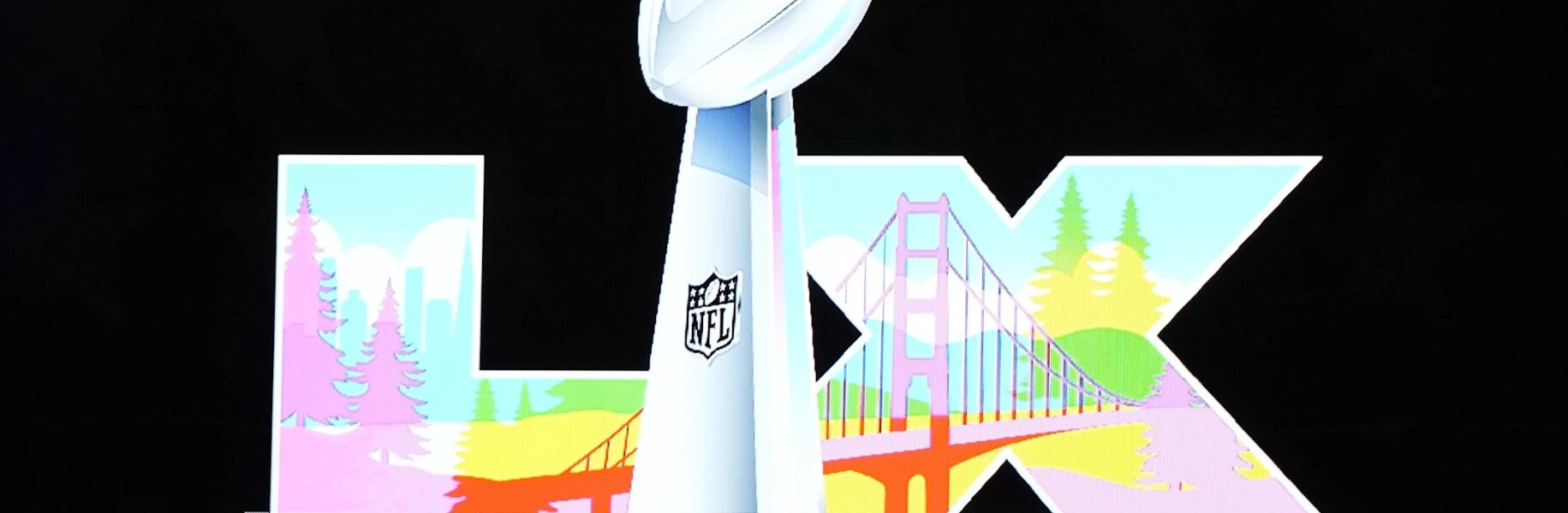 More Than A Game: The Cultural Phenomenon of the Super Bowl