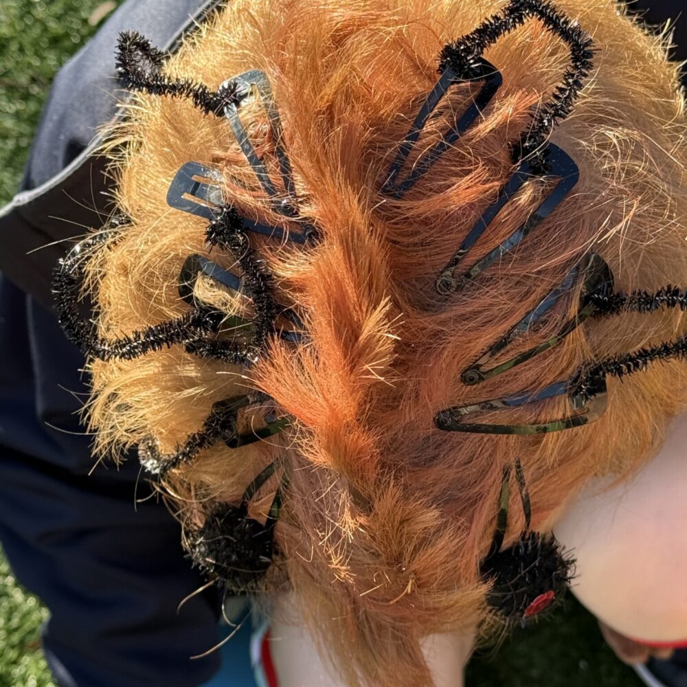 Junior School Crazy Hair &amp; Sock Day