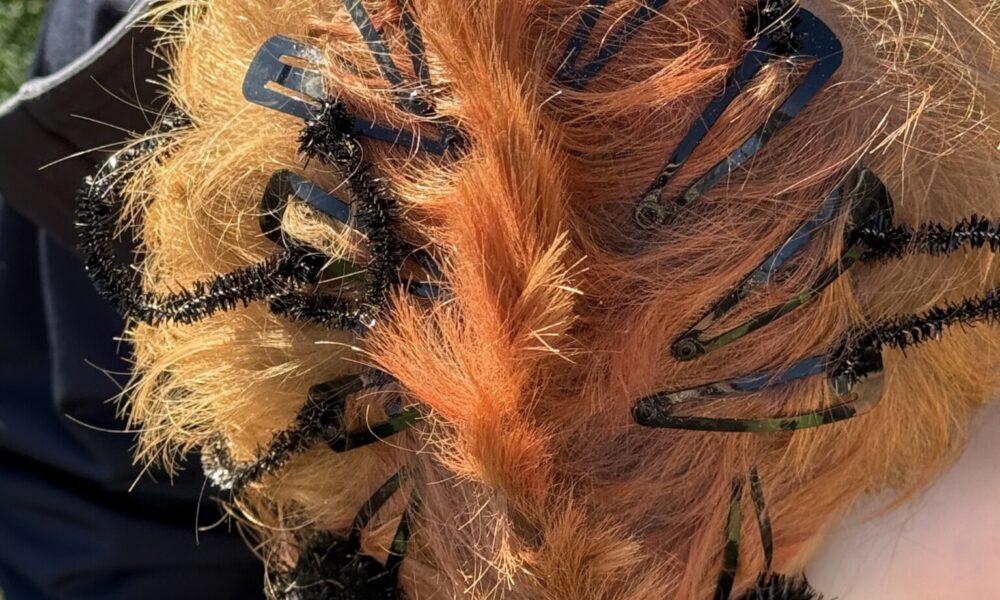 Junior School Crazy Hair &amp; Sock Day