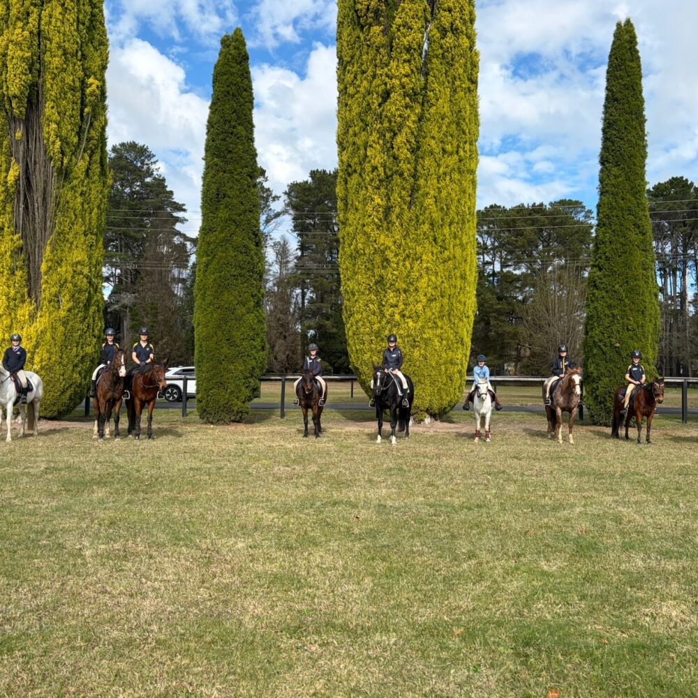 Equestrian Training Day