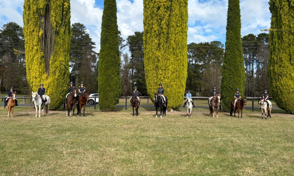 Equestrian Training Day