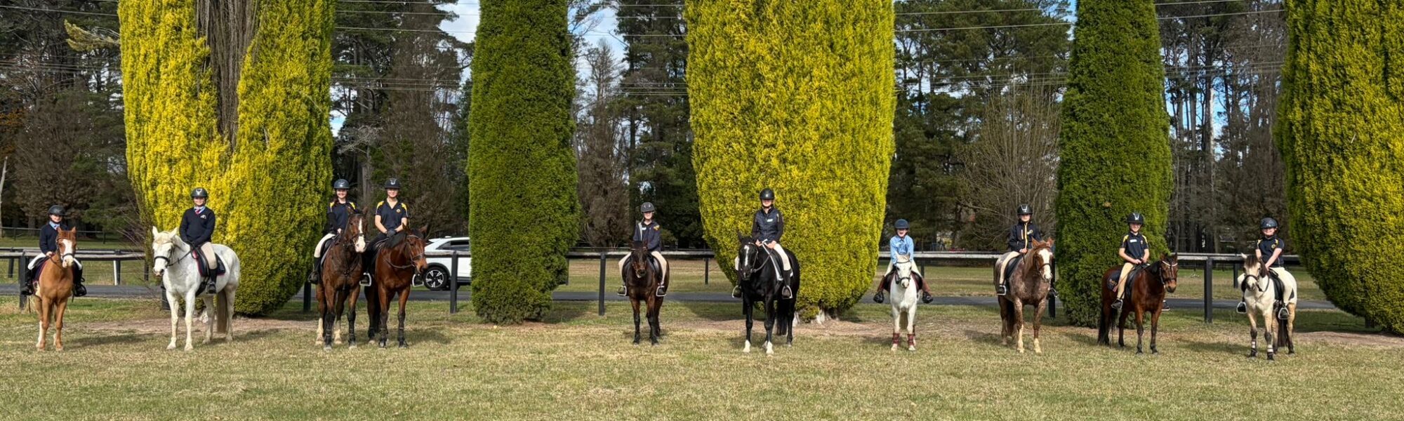 Equestrian Training Day